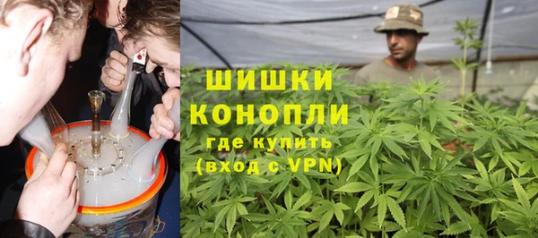 сатива Балахна