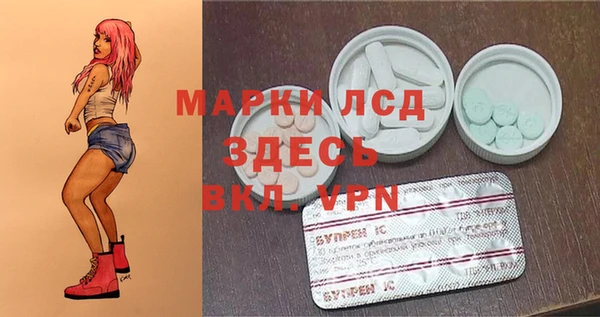 индика Армянск